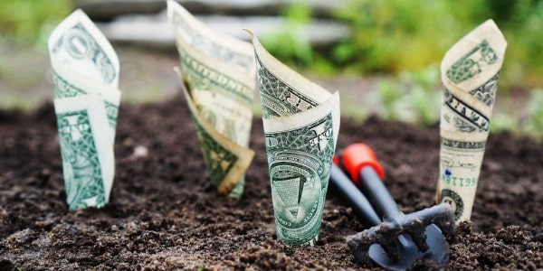 benefits of time management - money growing in the ground